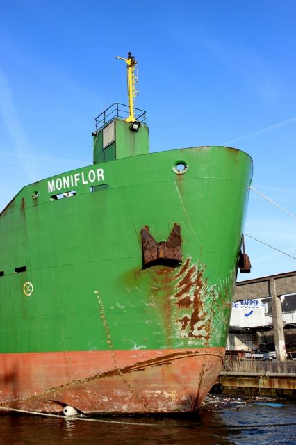 Moniflor - 23 fevrier 2014.JPG